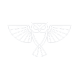 DeLucia Media owl mark